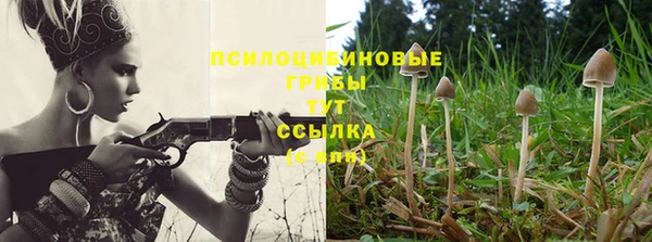 дмт Пролетарск