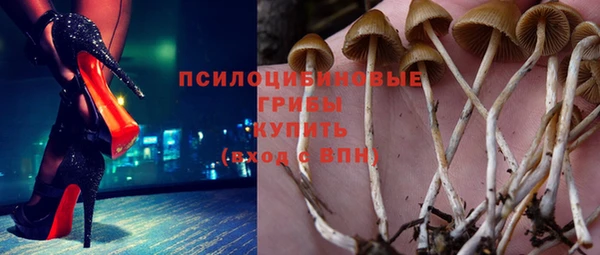 эйфоретик Протвино