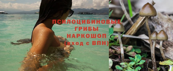 эйфоретик Протвино