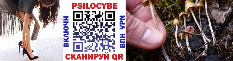Купить где  Суворов  Псилоцибиновые грибы Magic Shrooms 